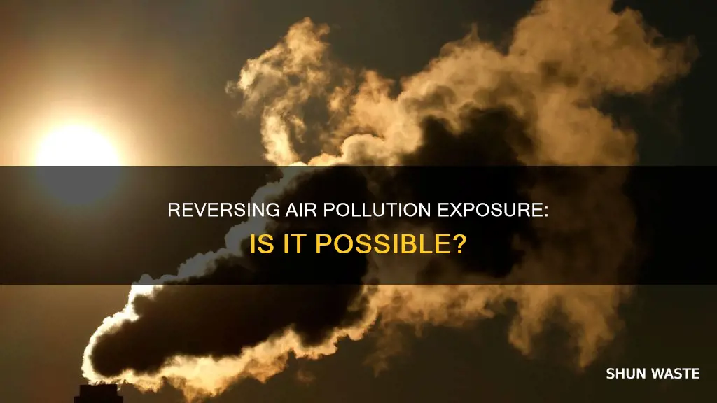 can air pollution exposure be reverswd