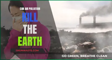 Air Pollution: Earth's Slow Death?