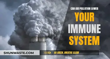 Air Pollution's Harmful Impact on Our Immune System