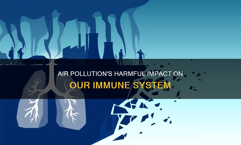 can air pollution lower your immune system