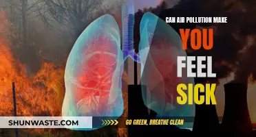 Air Pollution: Sickness, Health Hazards, and Prevention