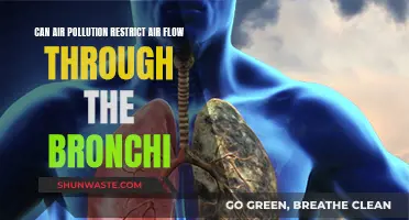 Air Pollution's Choking Grip on Our Bronchi