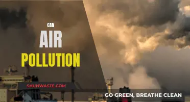 Air Pollution: A Lethal Crisis for Our Planet