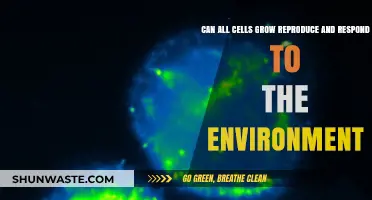 Cellular Life: Growth, Reproduction, and Environmental Responses Explained