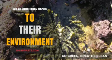 How Living Organisms Adapt and Respond to Environmental Changes
