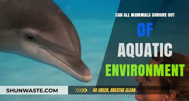 Can All Mammals Thrive Beyond Aquatic Habitats? Exploring Survival Limits