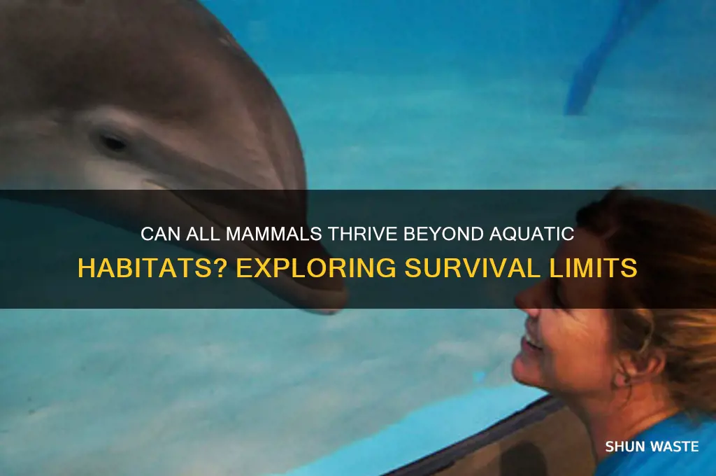 can all mammals survive out of aquatic environment