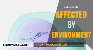 Environmental Influences on Alleles: Unraveling Gene-Environment Interactions