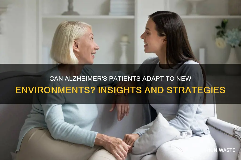 can alzheimers adjust to environment