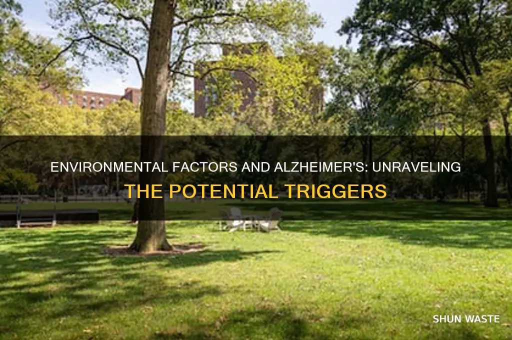 can alzheimer