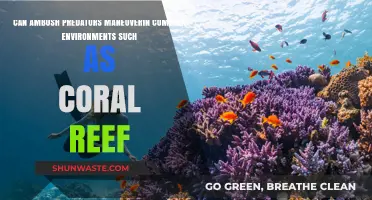 Ambush Predators' Maneuverability in Complex Coral Reef Ecosystems Explored