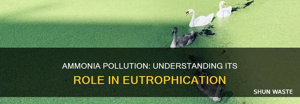 can ammonia pollution caus eutrophication