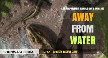 Amphibians Beyond Water: Adapting to Diverse Environments and Survival