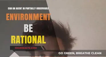 Rationality in Partially Observable Environments: Can Agents Truly Achieve It?