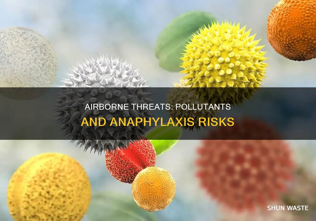 can an airborn pollutant cause anaphylaxis