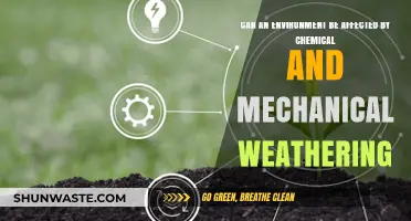 How Chemical and Mechanical Weathering Shape Our Environment