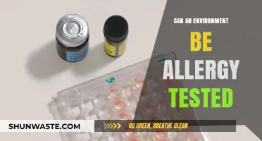 Can Your Environment Trigger Allergies? Testing Methods Explained