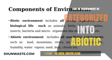 Understanding Abiotic Factors: Categorizing Environmental Components Beyond Living Organisms