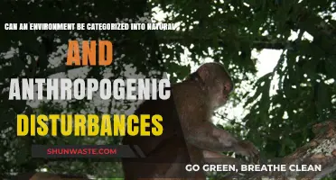Natural vs. Anthropogenic: Categorizing Environmental Disturbances and Impacts