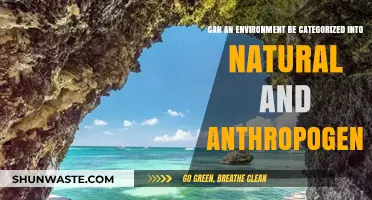 Natural vs. Anthropogenic: Categorizing Environments and Human Impact