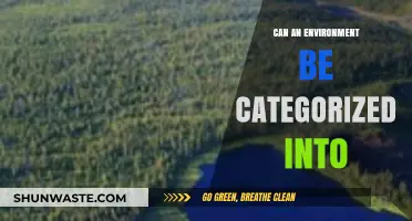 Exploring Environmental Classification: How Can We Categorize Ecosystems?