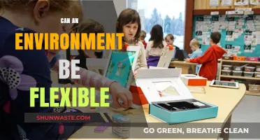 Can Environments Adapt? Exploring Flexibility in Dynamic Spaces