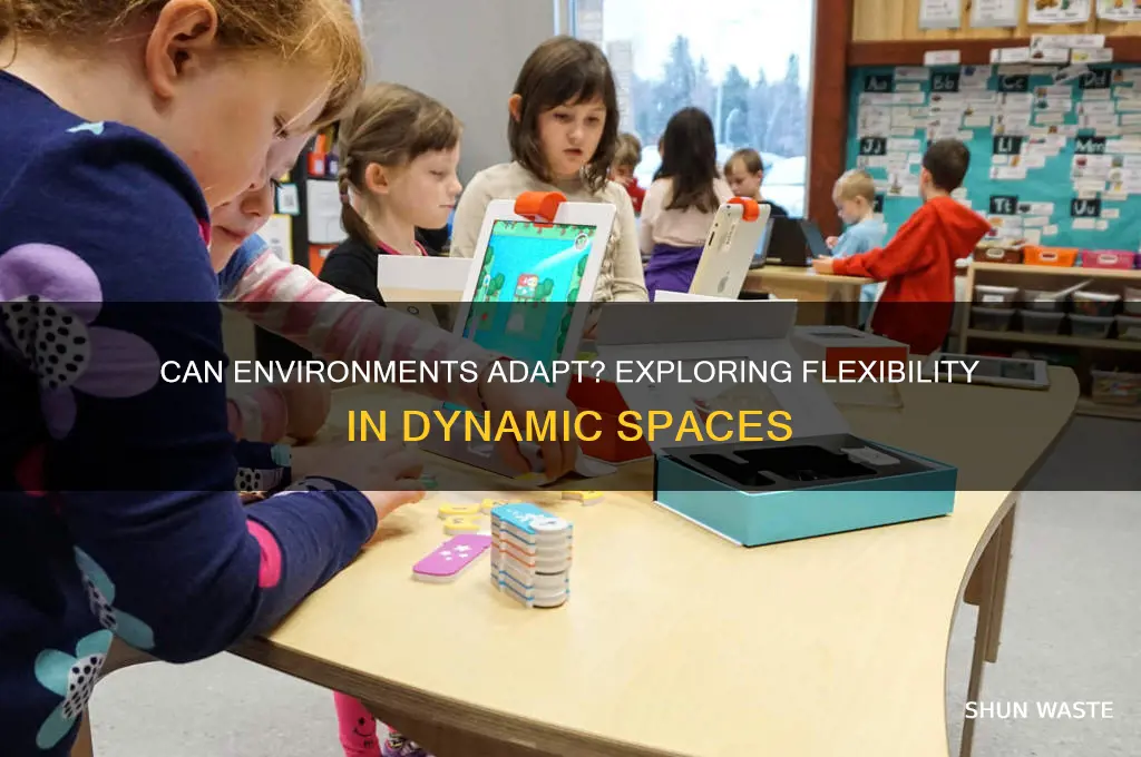 can an environment be flexible