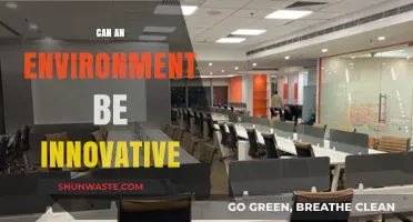 Can Environments Foster Innovation? Exploring the Role of Spaces in Creativity