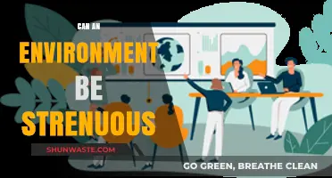 Strenuous Surroundings: How Environments Impact Physical and Mental Well-being