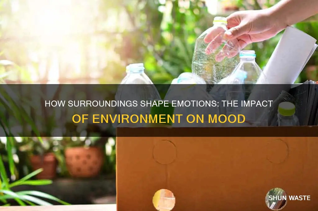 can an environment change a persons mood