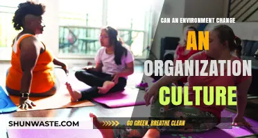 How Environmental Shifts Reshape Organizational Culture: Insights and Strategies