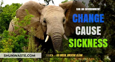 Environmental Shifts: Unraveling the Link Between Habitat Changes and Illness