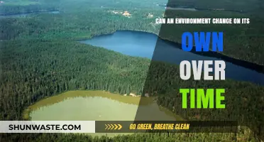 How Ecosystems Evolve: Natural Environmental Changes Over Time Explained