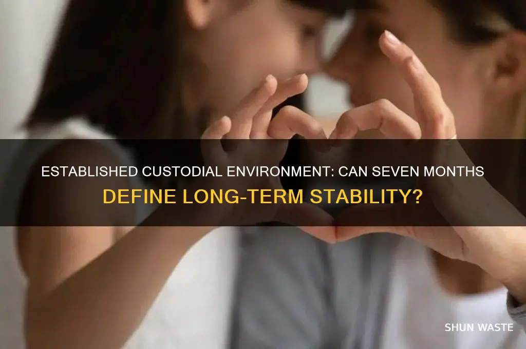 can an established custodial environment exist after seven months