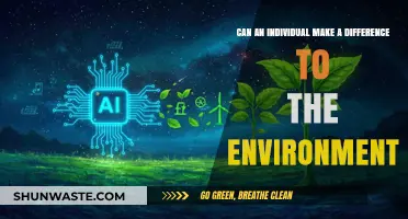 Empowering Change: How One Person Can Impact the Environment
