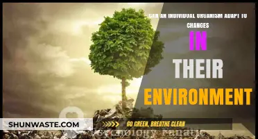 How Organisms Adapt: Surviving Environmental Changes and Thriving in New Conditions