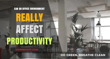 How Your Office Environment Impacts Productivity: Surprising Insights
