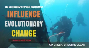 Environmental Shifts: How Physical Surroundings Drive Organism Evolution