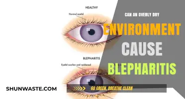 Dry Air and Eye Health: Does It Trigger Blepharitis?