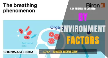 Environmental Factors and Anemia: Uncovering Surprising Triggers and Risks