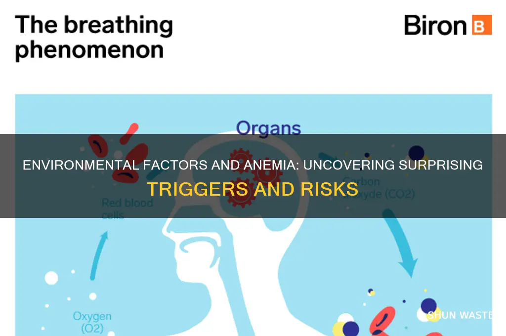 can anemia be created by environment factors