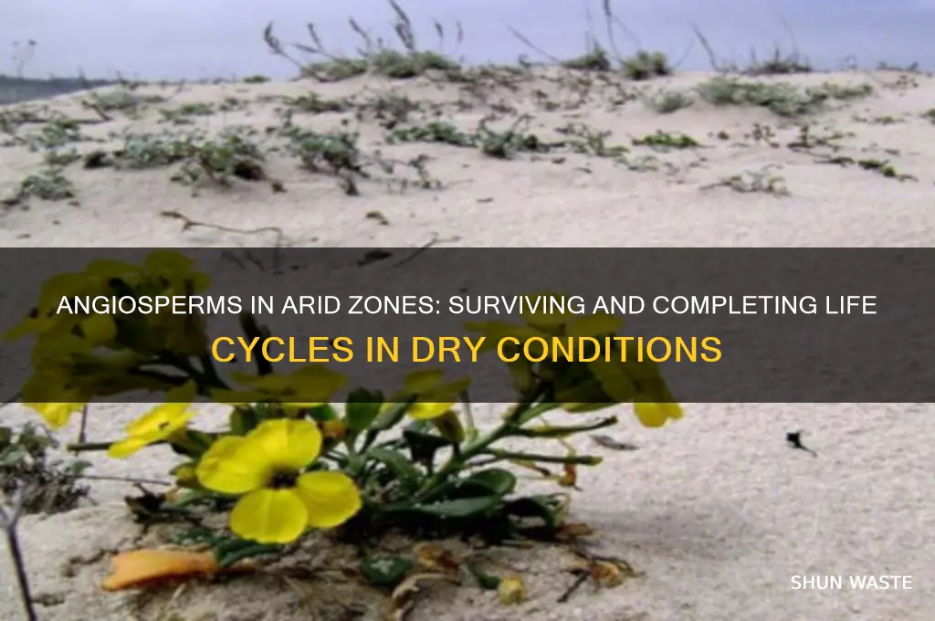 can angiosperms complete their life cycle in a dry environment