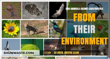 Environmental Influence: Can Animals Adapt Traits from Their Surroundings?