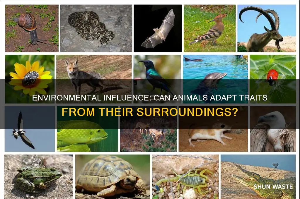 can animals aquire caratristics from their environment