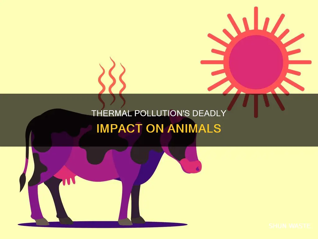 can animals die from thermal pollution