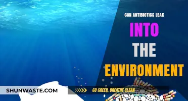 Antibiotics in the Environment: Unseen Risks and Ecological Impacts