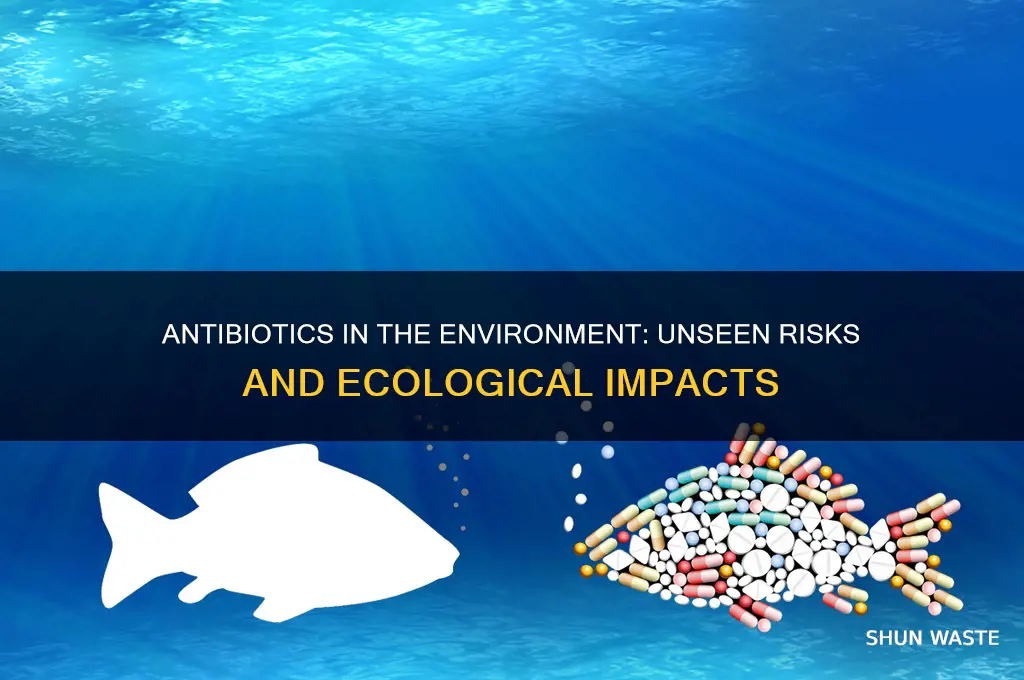 can antibiotics leak into the environment