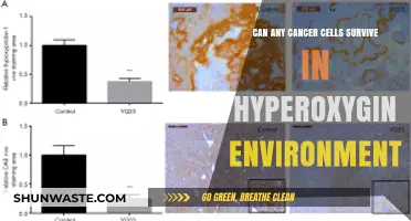 Hyperoxygenated Environments: Can Cancer Cells Survive in High Oxygen Conditions?