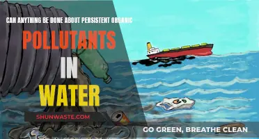 Persistent Pollutants: Water Purification Solutions