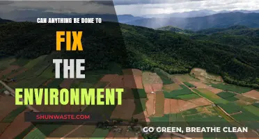 Saving Our Planet: Practical Steps to Restore and Protect the Environment